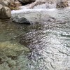 日本淡水魚好きな学生さん集まれ‼️