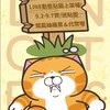 白爛貓家族俱樂部