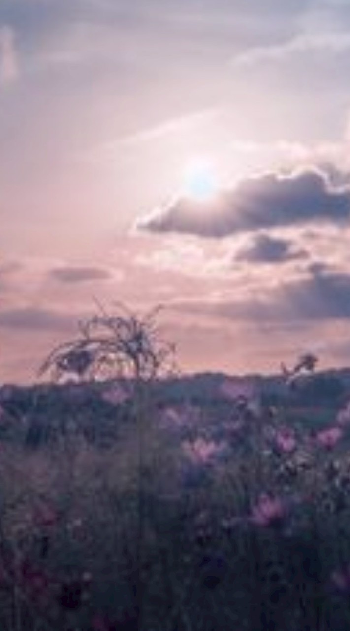 @　⌒ ⌒　　ず　~　ッ　と　一緒　ダョ　?¿　　　HQ　固定　,