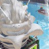スプラトゥーンの集い