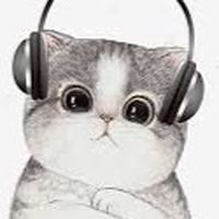 ไอ่เราก็ชอบฟังเพลงซะด้วย