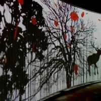 wynd 多元策展｜藝術創作｜阿卡西解讀
