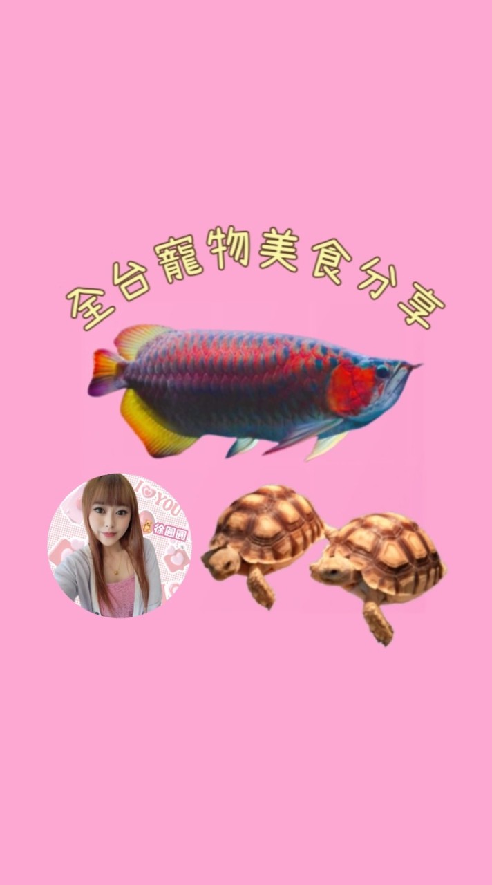 🍝🐢全台美食特賣會🎀寵物分享交流🎀陸龜🎀美食🎀旅遊🎀親子🎀聊天🎀密碼-事先詢問🎀🧸徐圓圓♡育兒生活🧸