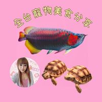 🍝🐢全台美食特賣會🎀寵物分享交流🎀陸龜🎀美食🎀旅遊🎀親子🎀聊天🎀密碼-事先詢問🎀🧸徐圓圓♡育兒生活🧸