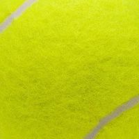 （動漫群）網球王子同好會🎾🎾
