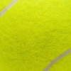 （動漫群）網球王子同好會🎾🎾
