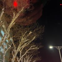 親子のタイプ別2024年2月