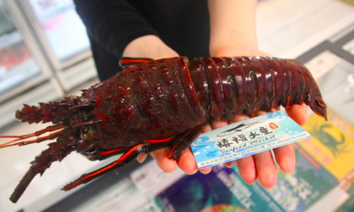 【禧福水產】船凍冷凍青龍蝦/玫瑰龍蝦雜龍◇$特價780元/600g±10%/隻◇最低價日本料理燒烤居酒屋餐廳團購辦桌可批發