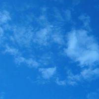 CA　客室乗務員　で現役　内定者　OGOBの情報交換や意見交換等のサイト　#CA　#客室乗務員