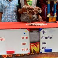 ช.เคียงดาว99