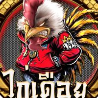 น้องเฟิร์นไก่เดิอย285🐓🐓🐓
