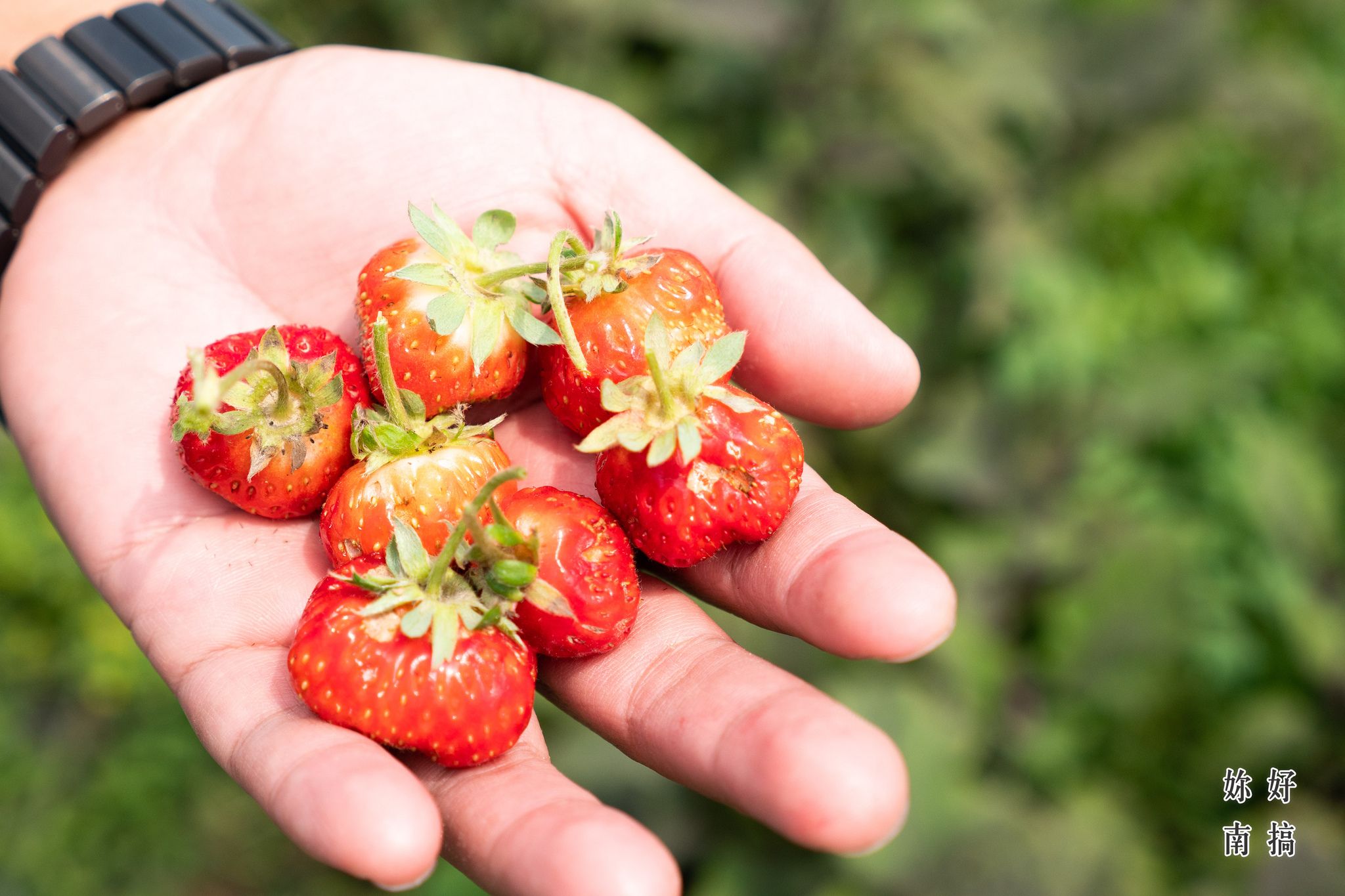 將軍景點-妳好南搞-18