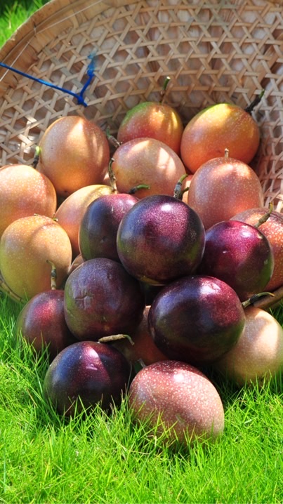 阿賀（R-her）水果團購