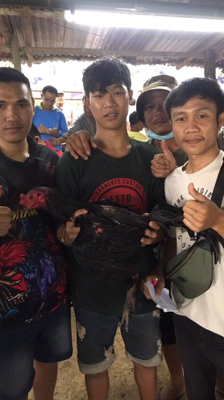 ป่าก๋อยสามเอี่ยวพัฒนา เเละพม่าเเข้งคม