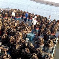 育合海鮮
