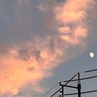 歌い手やりたい方募集中!!裏方や絵師様も！