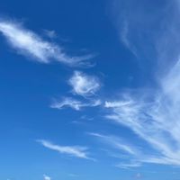 專屬規劃 輕鬆旅遊