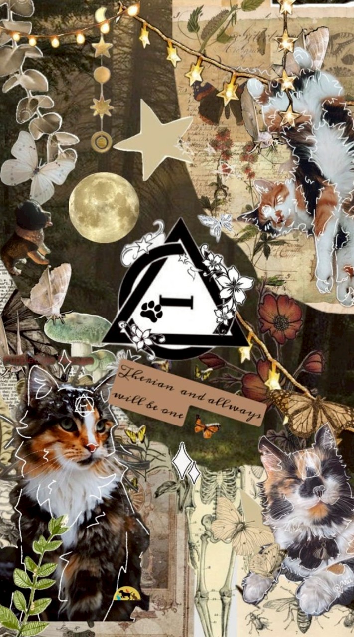 therians 𓃥⋆╶⃝⃤⋆😵‍💫🇹🇭