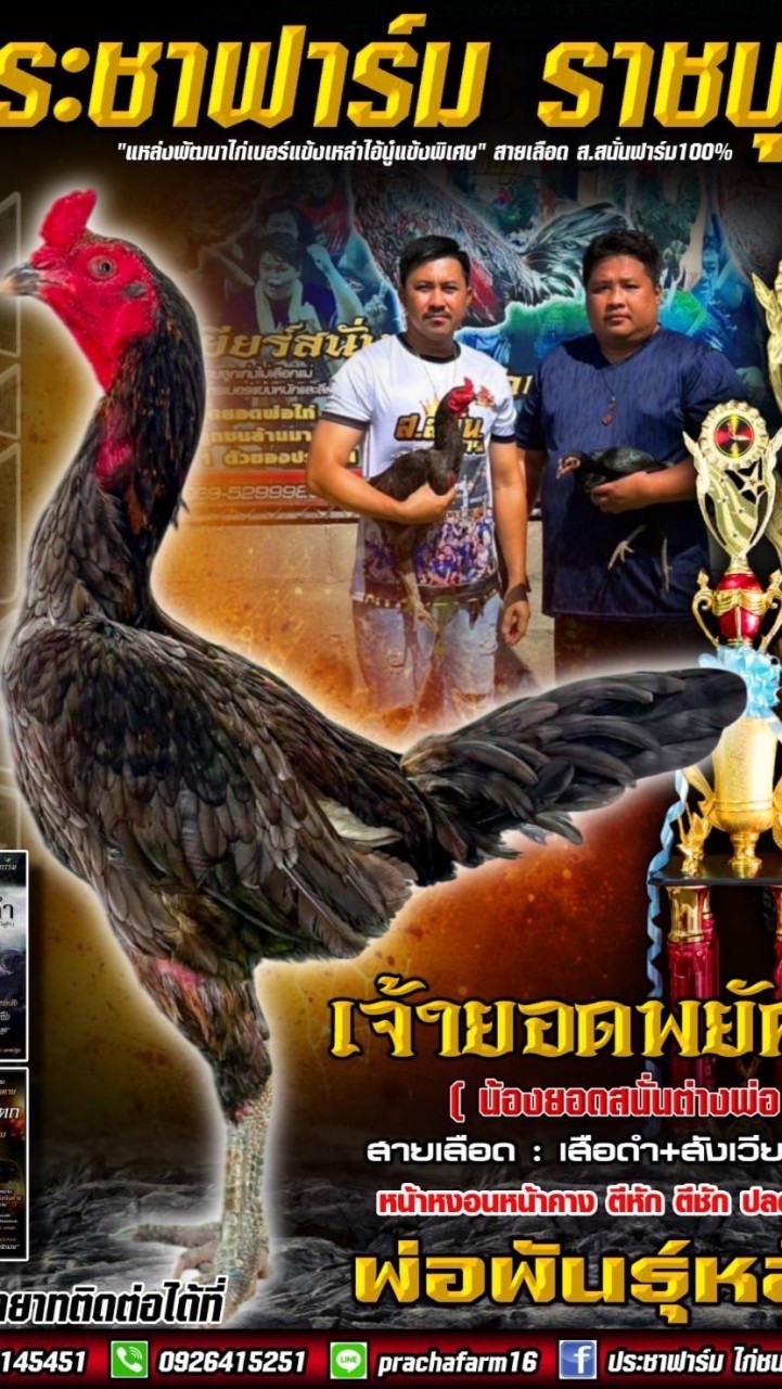 เจ้ายอดพยัคฆ์/ยอดวิชา FC.สายเลือด ส.สนั่นฟาร์ม