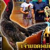เจ้ายอดพยัคฆ์/ยอดวิชา FC.สายเลือด ส.สนั่นฟาร์ม