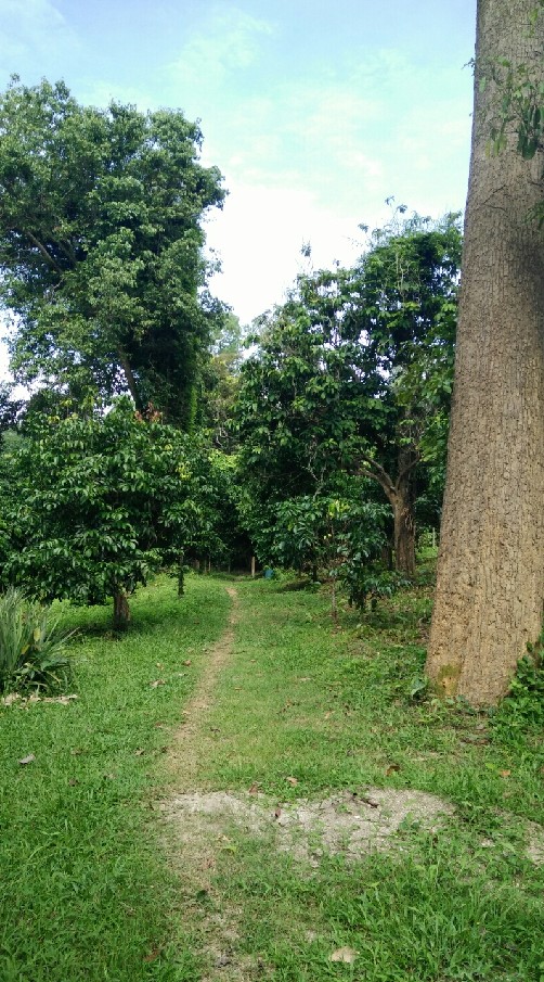 คนทำเกษตร
