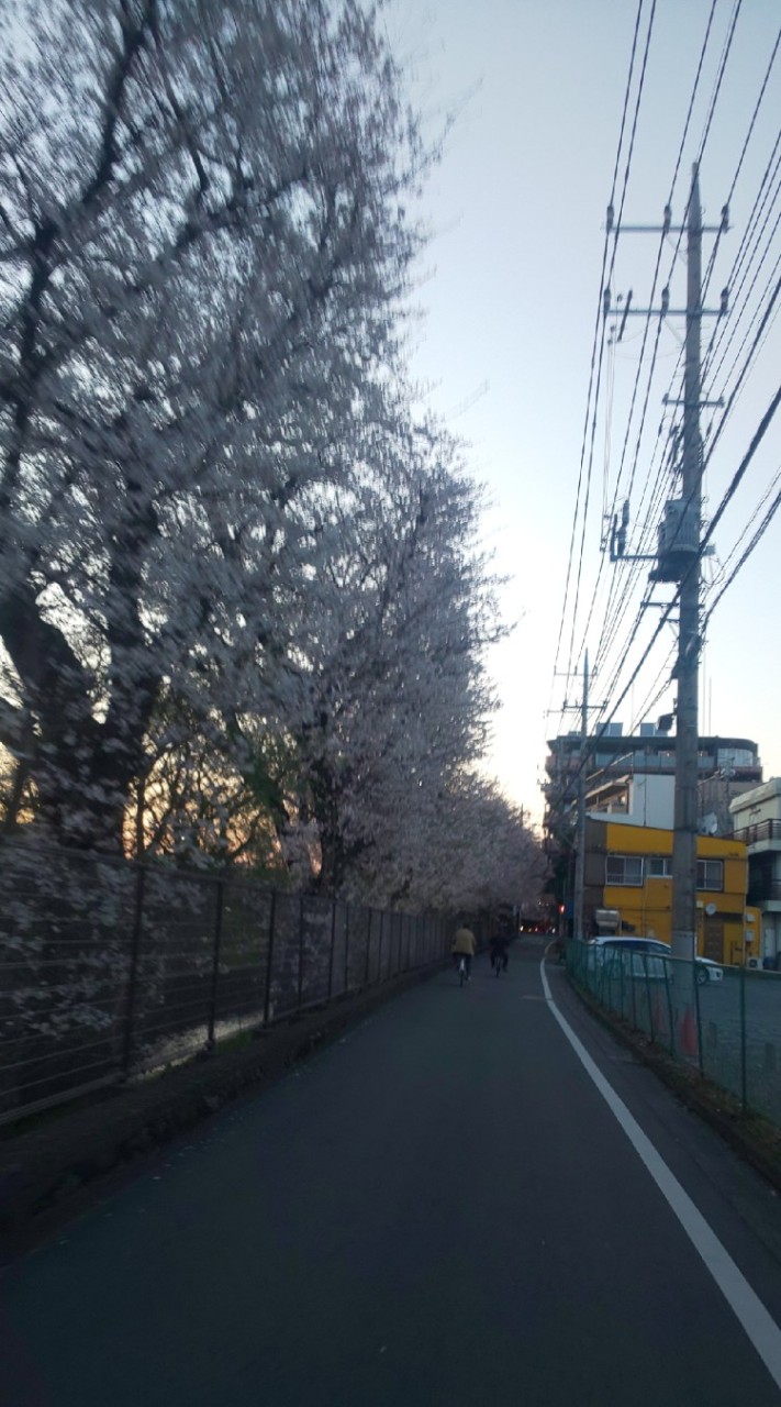 浦島坂田船とすとぷり好きな方щ(ﾟДﾟщ)のオープンチャット