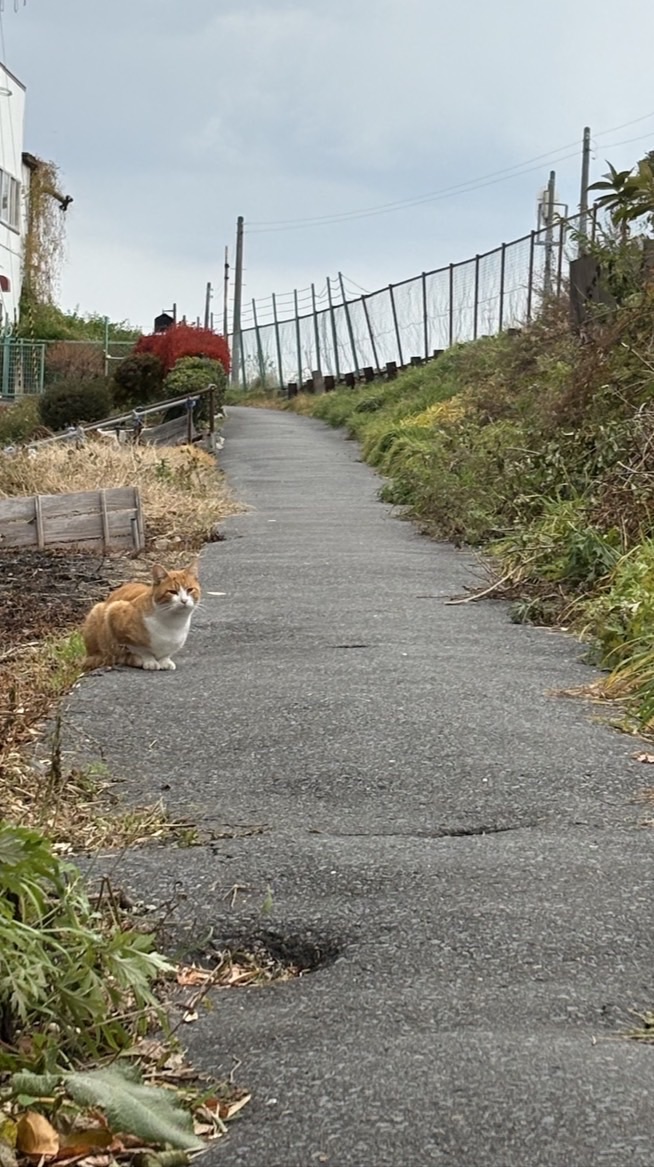 恋人ごっこしよぉっ‼︎こーれはほーんとっ‼︎