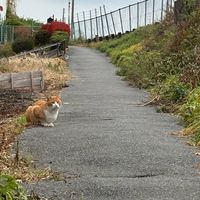 恋人ごっこしよぉっ‼︎こーれはほーんとっ‼︎