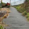 恋人ごっこしよぉっ‼︎こーれはほーんとっ‼︎