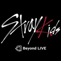 ［Stray Kids 專輯小卡周邊買賣］