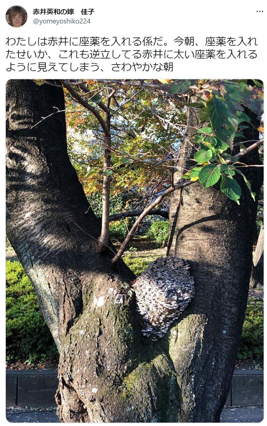 Twitterをにぎわせる 赤井英和の嫁 佳子 彼女に聞いた好きな投稿ベスト5 ウォーカープラス