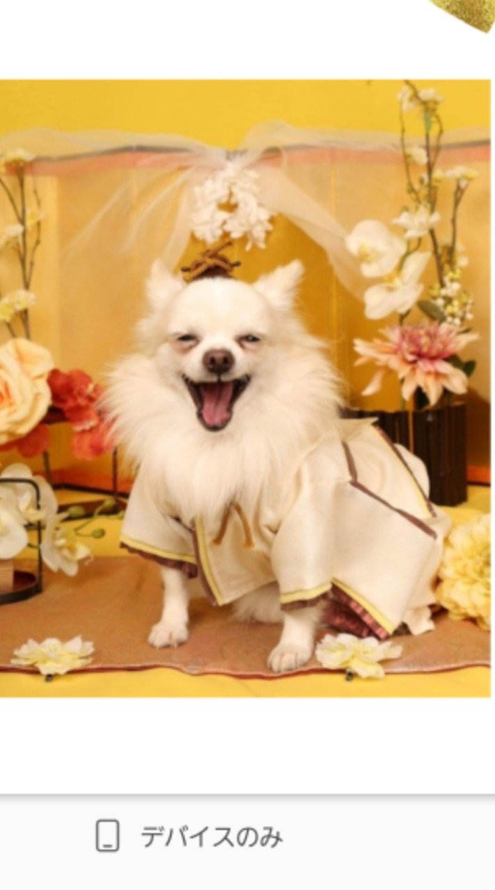 ❤集まれペット自慢❤動物さんの話通訳しまーす❤