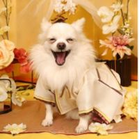 ❤集まれペット自慢❤動物さんの話通訳しまーす❤