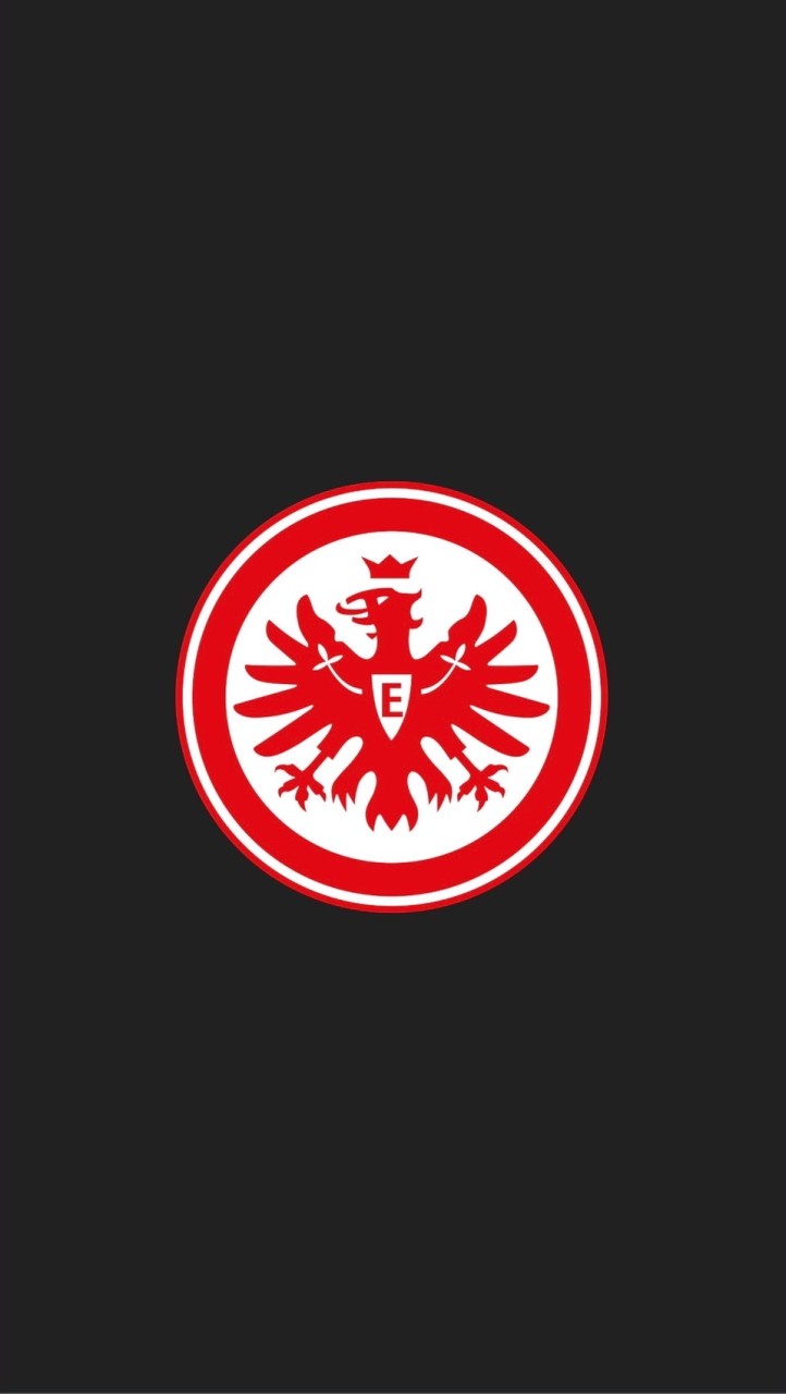 フランクフルト Frankfurt 🇩🇪 (ブンデスリーガ)