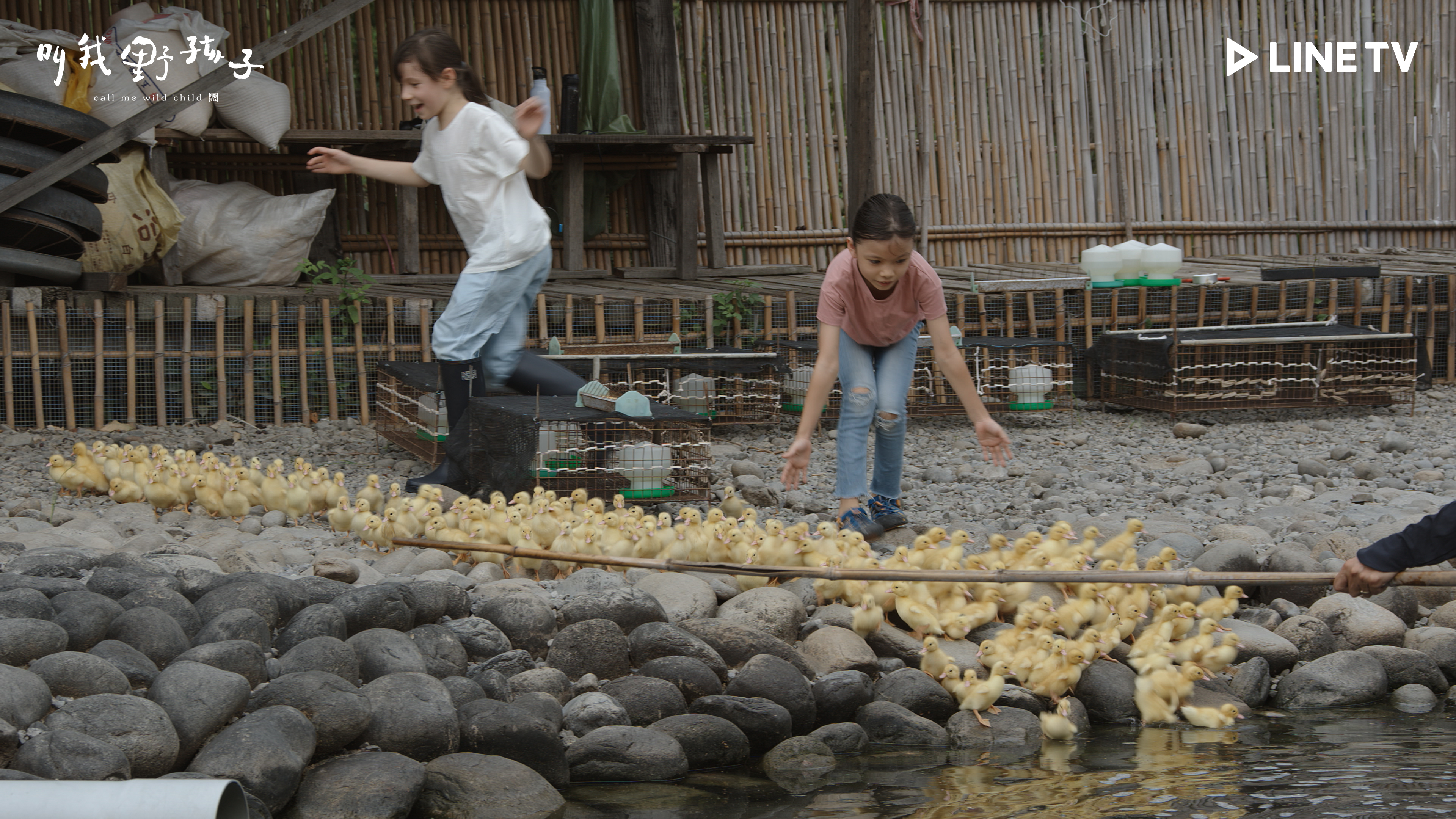 圖片提供 / LINE TV