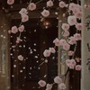 春爛漫！！( 金カム緩nrkr )