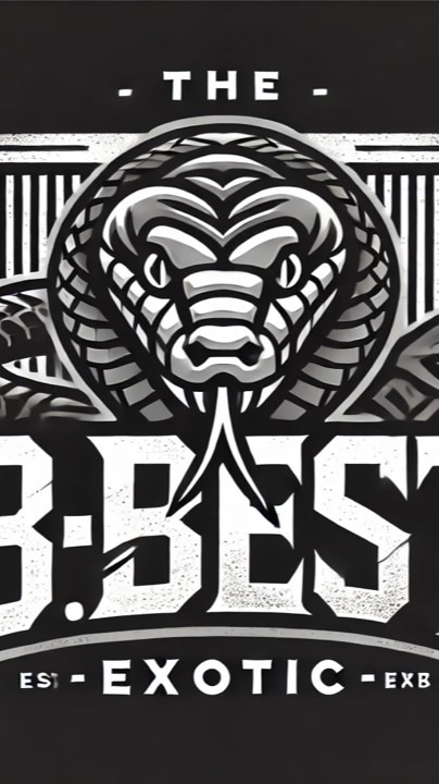 The B.best Exotic New!!