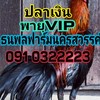 ธนพลฟาร์ม นครสวรรค์