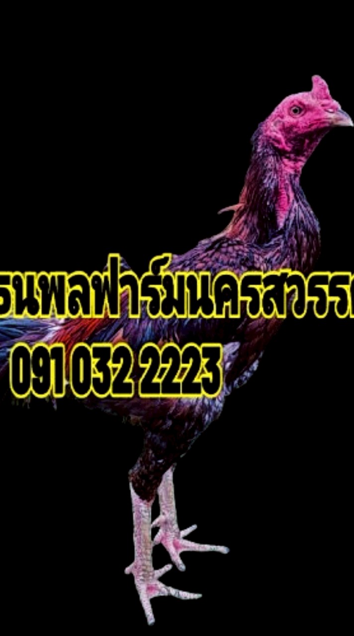 ธนพลฟาร์ม นครสวรรค์