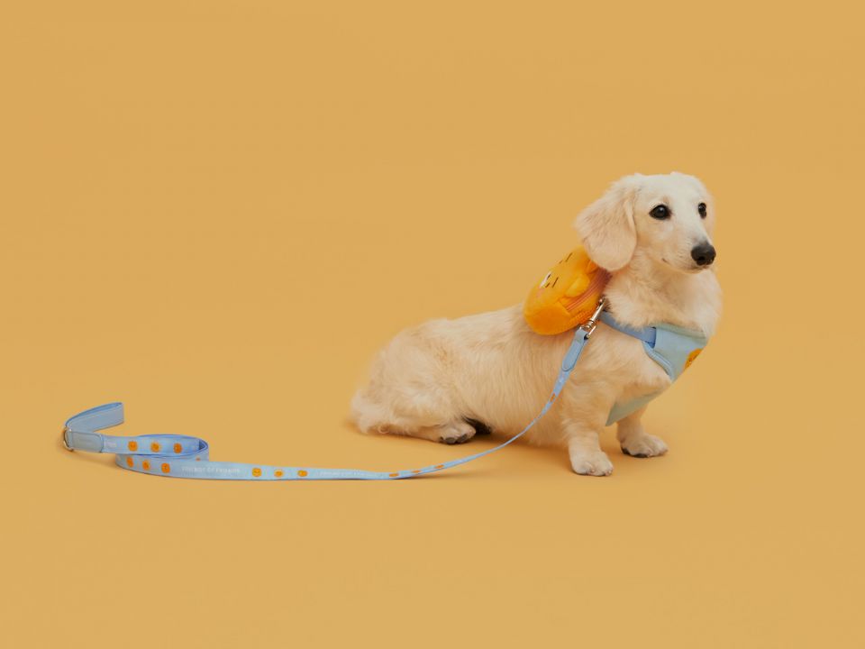 圖片來源：KAKAO FRIENDS.KR