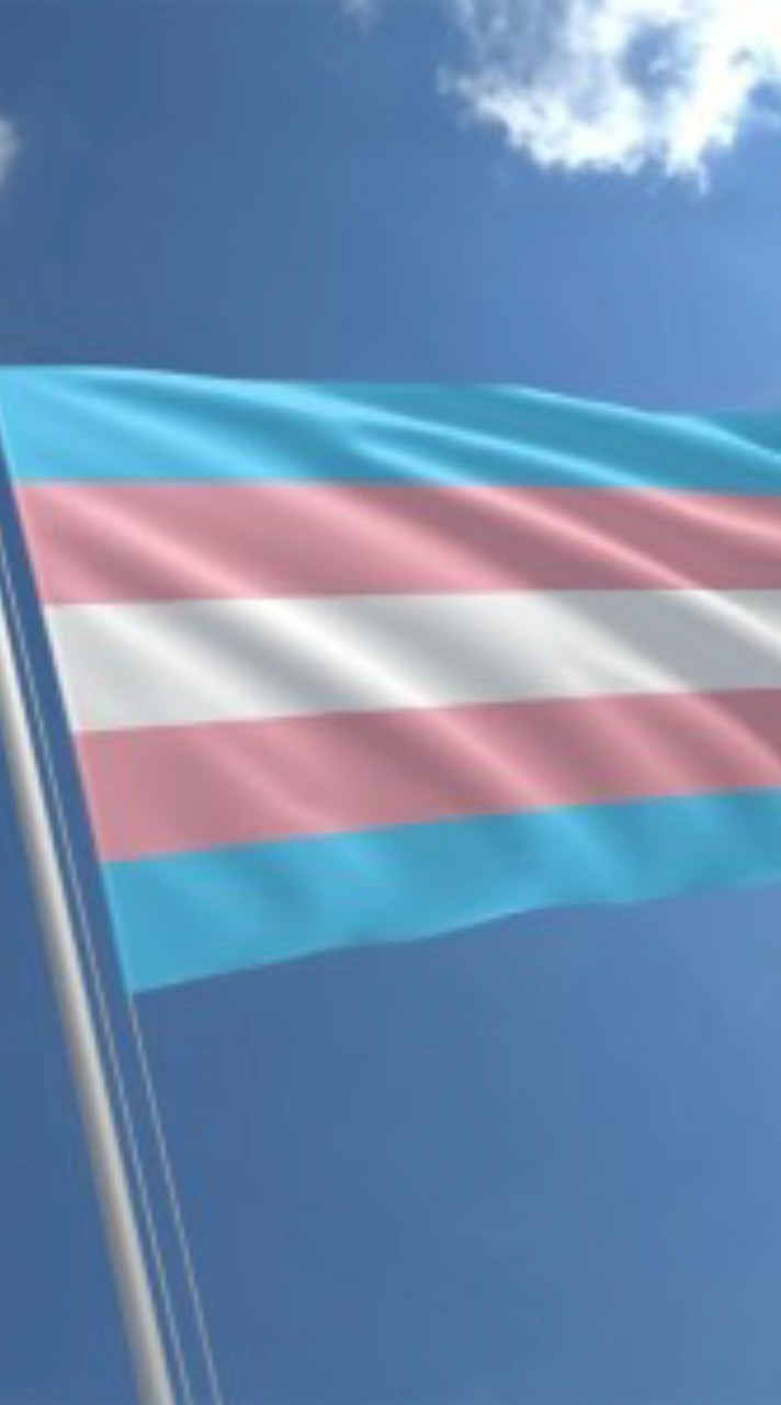 性別多元之伊布回來了