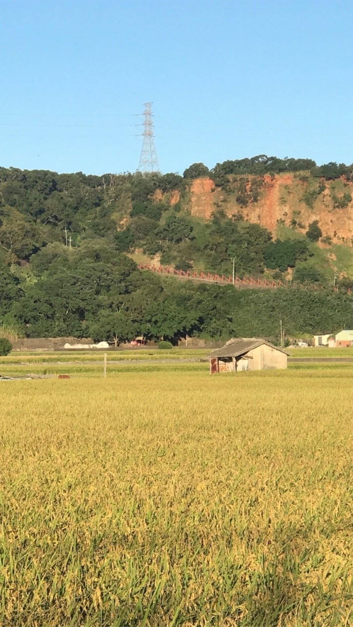 樂齡逍遙遊