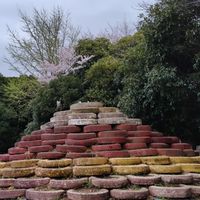 にじの山会2024