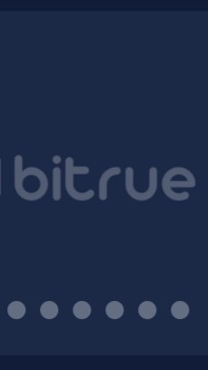 仮想通貨bitrueの集い