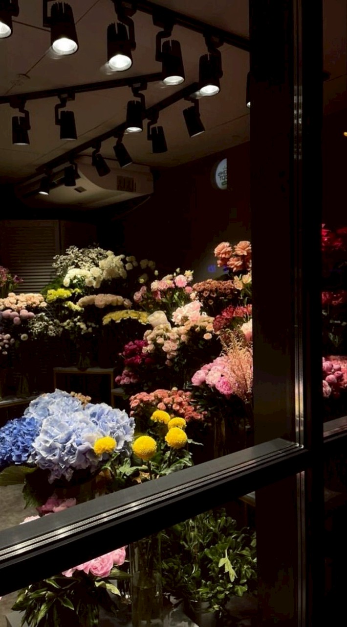 𓉳ֵㅤ＇​ূ𝚍𝚊𝚒𝚕𝚢͡ॗ生活ㅤ ⎯⎯  ﹙𓃠﹚ㅤ❞