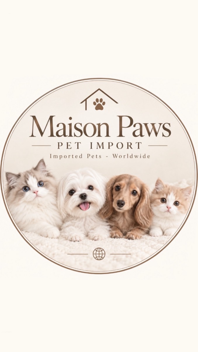 Maison paws pet import