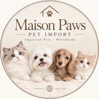 Maison paws pet import