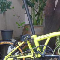 Brompton gang II