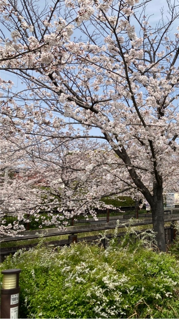 Room209@瑞陵高校