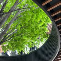 武蔵1年A組2023